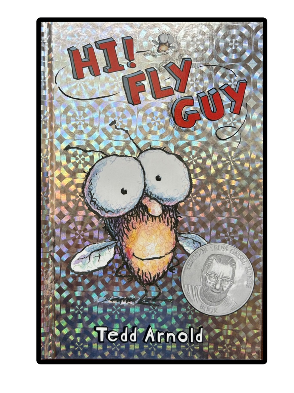 BUNDLE & SAVE 🪰 Hi! Fly Guy  Hardcover Kids Book